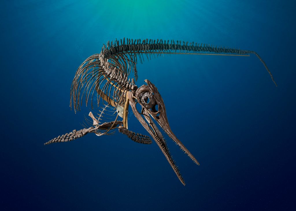 A World of Disasters Towards the Reign of Dinosaurs: The Triassic-Jurassic Extinction